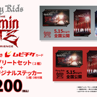 収納台紙付きムビチケカーコンプリートセット（2種）税込7,200円　『Stray Kids : The dominATE Experience』 （c）JYP ENTERTAINMENT