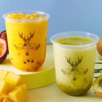 香りと恋するキウイ　cold / M 720円　L 820円、ときめくマンゴーパッション　cold / M 710円　L 820円／提供画像