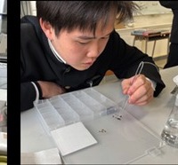 参加者は、ファッション、食、音、デザイン、ワカメ、昆虫、酵素などそれぞれの「好き」を追求