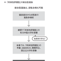 合格までの流れイメージ（『総合型選抜は何を評価するのか　いますぐ知っておきたい新しい大学入試のリアル』より）