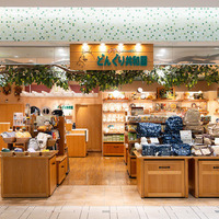 ジブリがいっぱい どんぐり共和国