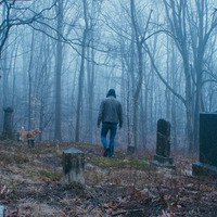 『GOOD BOY／グッド・ボーイ』© 2025 Whats Wrong With Your Dog, LLC. All Rights Reserved.