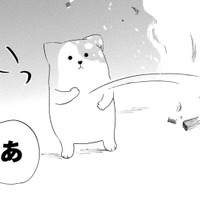 亡き愛犬の首輪が燃えてしまった…だけど、胸につかえていた後悔も、一緒に消えていくようで【きのこいぬ #４】