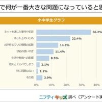 SNSで何が一番大きな問題になっていると思う？
