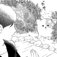 「絶対出てきちゃダメだぞ」言い聞かせたのに、庭に出てきてしまったきのこいぬ【きのこいぬ #14】