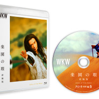 『楽園の瑕 終極版』Blu-ray