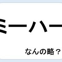 【クイズ】ミーハーって何の略だか言える？意外に知らない！【GWスペシャル略語クイズ】
