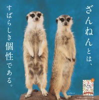 サンシャイン水族館「ざんねんないきもの展3」
