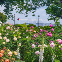 港の見える丘公園