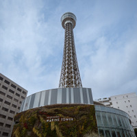 『ラプソディ・ラプソディ』©2026 利重 剛