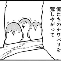 「縄張りを荒らしたな」掃除が気に入らない常連スズメたちが、店の中で大暴れ！【とりきっさ！ #10】