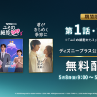 「21世紀の大君夫人」(C) 2026. MBC. All Rights reserved.