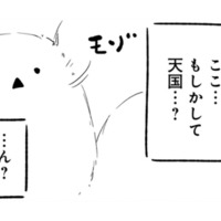 嵐の中、無理をして倒れてしまった僕…目が覚めると、そこは天国だった？【とりきっさ！ #21】