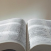 英単語や文法は知っているハズなのに…長文になると読めない！書けない‼生成AIで「英語力」が伸びるってホント？【使い方実例つき】