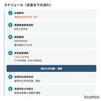 スケジュール（派遣までの流れ）