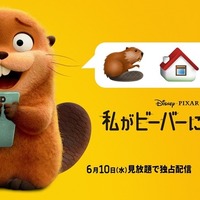 ピクサー史上衝撃度No.1『私がビーバーになる時』ディズニープラスで6月10日より独占配信