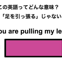 この英語ってどんな意味？「You are pulling my leg.」