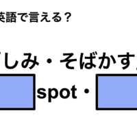 英語で「しみ・そばかす」は何て言う？
