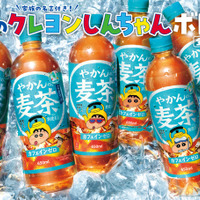 「もうひとつのクレヨンしんちゃん やかんの家族だゾ！」シーズン2