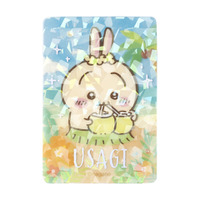 トレーディング 海辺のキラキラクリアカード（全９種）単品：440円　BOX：3,960円
