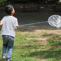 〔怒涛の中学受験〕偏差値より「セミの幼虫探し」ができる小学校生活を守った母の決断
