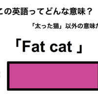 この英語ってどんな意味？「Fat cat」
