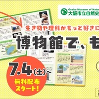 【自由研究2026】植物・貝がら・昆虫の標本づくり冊子を無料配布…大阪市立自然史博物館