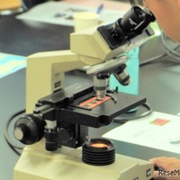 顕微鏡で植物の細胞を観察してみよう（横浜市立大学）