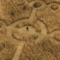 世界を揺るがす“真実”とは…絶賛の声相次ぐ スピルバーグ最新作『ディスクロージャー・デイ』場面写真が解禁