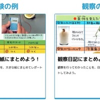 まとめ方のコツ（実験の例、観察の例）