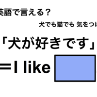 英語で「犬が好きです」は何て言う？
