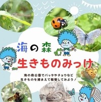生きもの観察（海の森公園）