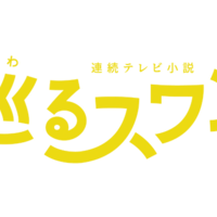 巡るスワン