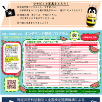 こども霞が関見学デーパンフレット （文部科学省）
