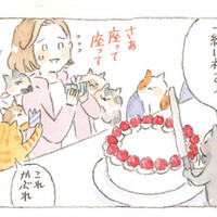 「誕生日を祝ってもらうのが苦手…」と素直に喜べない女性。猫が教えてくれた優しい考え方【深夜３時のくろねこ喫茶２ #５】