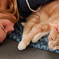 亡き父が大切にしていた猫を「保健所に連れていけ」と言い放った夫…それでも妻が離婚できなかった理由とは