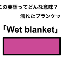 この英語ってどんな意味？「Wet blanket」