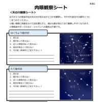 肉眼観察シート