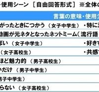 言葉の意味や使用シーン