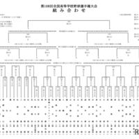第108回全国高等学校野球選手権大会