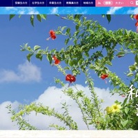 名桜大学