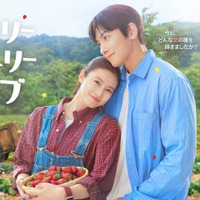 「メリーベリーラブ」キービジュアル（C）日本テレビ