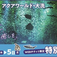 東京都民感謝デー