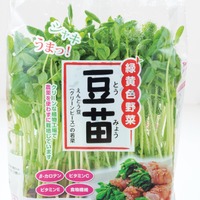 その豆苗、本当に新鮮？ プロが教える「おいしい豆苗」の見分け方と長持ちさせる保存術