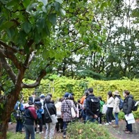 過去のイベントのようす