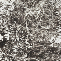 市川孝典、個展「FLEETING DAYS」10月7日より渋谷・NONLECTURE book/artsで開催