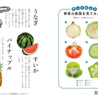 旬の食べ物や、野菜や果物の断面がイラストでわかりやすく説明されている