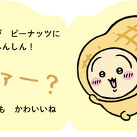 「だいすきちいかわ シェイプブックミニ」990円