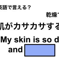 英語で「肌がカサカサする」は何て言う？