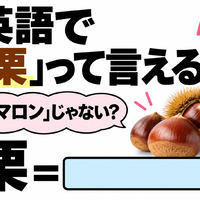 英語で「栗」は「マロン」じゃない？正解は意外なコレでした